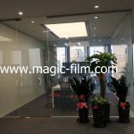 SWITCHABLE GLASS film ON STATE